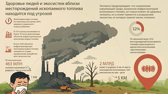 инфографика