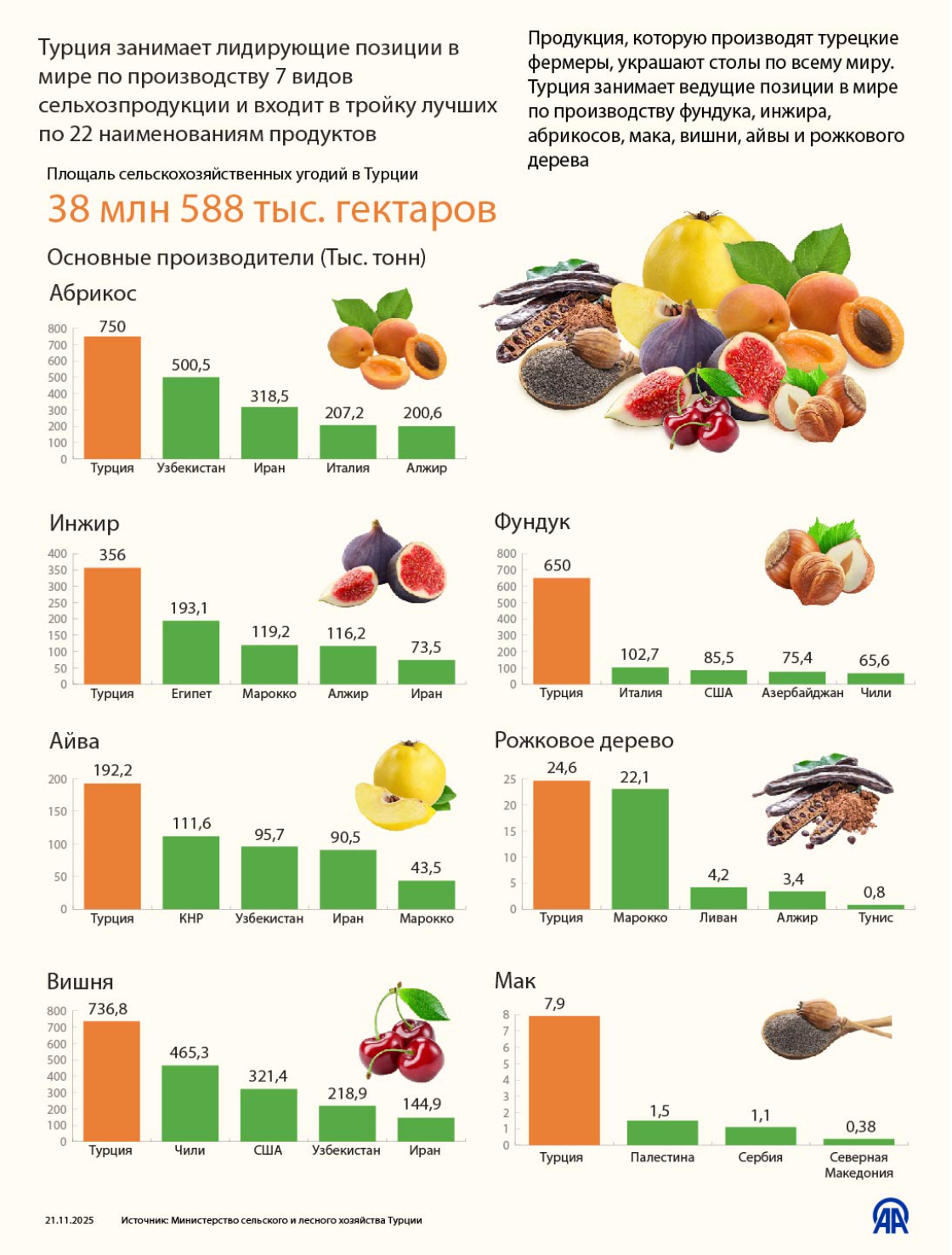 Турция занимает лидирующие позиции в мире по производству 7 видов сельхозпродукции и входит в тройку лучших по 22 наименованиям продуктов