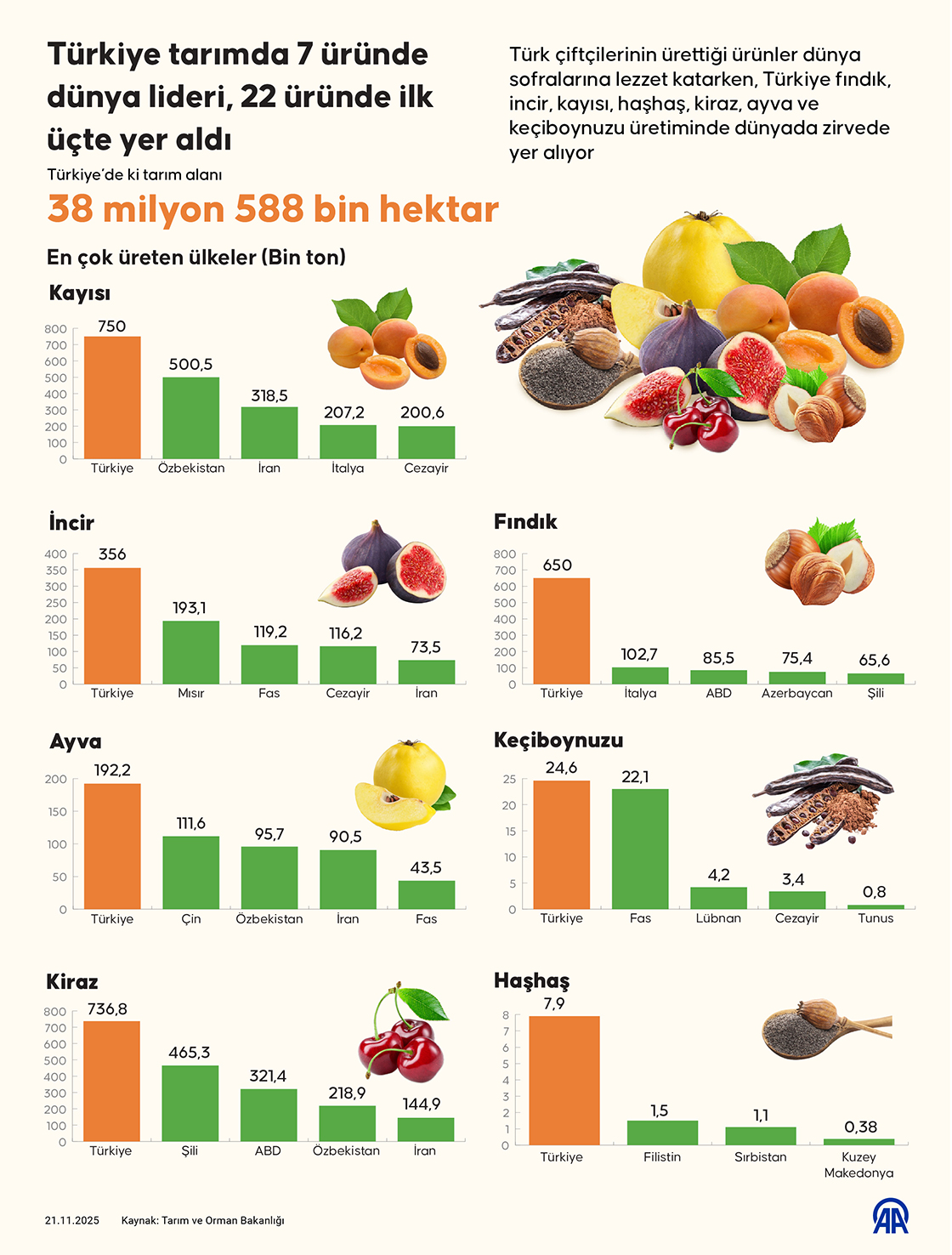 Türkiye tarımda 7 üründe dünya lideri, 22 üründe ilk üçte yer aldı