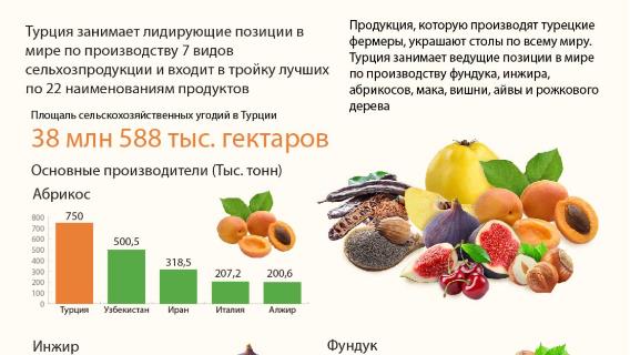Турция занимает лидирующие позиции в мире по производству 7 видов сельхозпродукции и входит в тройку лучших по 22 наименованиям продуктов