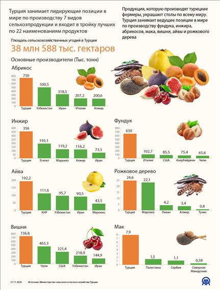 Турция занимает лидирующие позиции в мире по производству 7 видов сельхозпродукции и входит в тройку лучших по 22 наименованиям продуктов