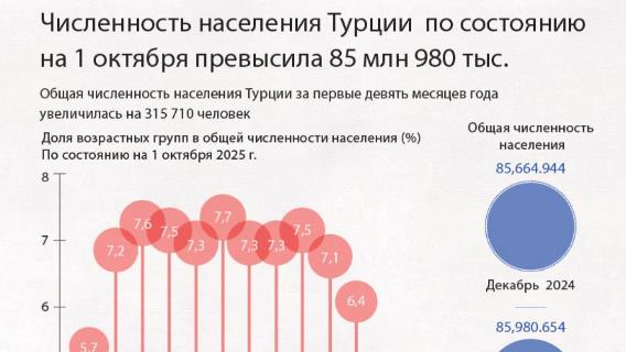 Численность населения Турции по состоянию на 1 октября превысила 85 млн 980 тыс.
