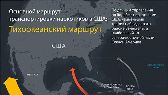 инфографика