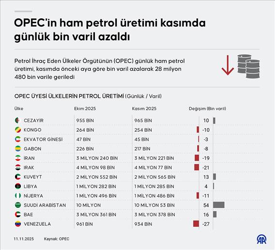 OPEC'in ham petrol üretimi kasımda günlük bin varil azaldı
