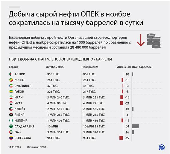 Добыча сырой нефти ОПЕК в ноябре сократилась на тысячу баррелей в сутки