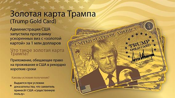 инфографика