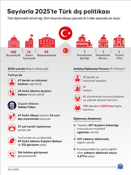 Sayılarla 2025'te Türk dış politikası