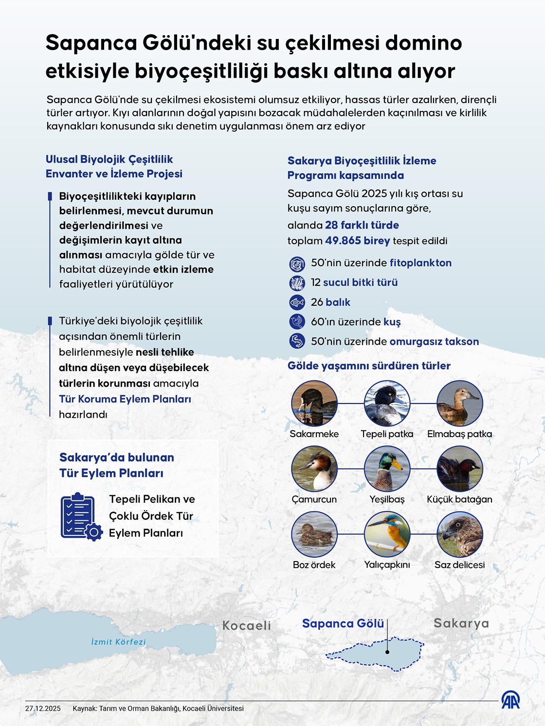 Sapanca Gölü'ndeki su çekilmesi domino etkisiyle biyoçeşitliliği baskı altına alıyor