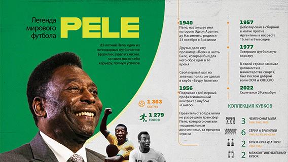 инфографика