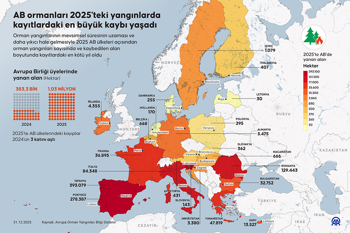 AB ormanları 2025'teki yangınlarda kayıtlardaki en büyük kaybı yaşadı