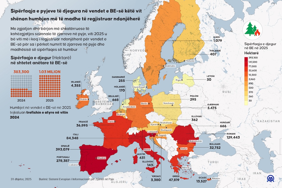 Sipërfaqja e pyjeve të djegura në vendet e BE-së këtë vit shënon humbjen më të madhe të regjistruar ndonjëherë