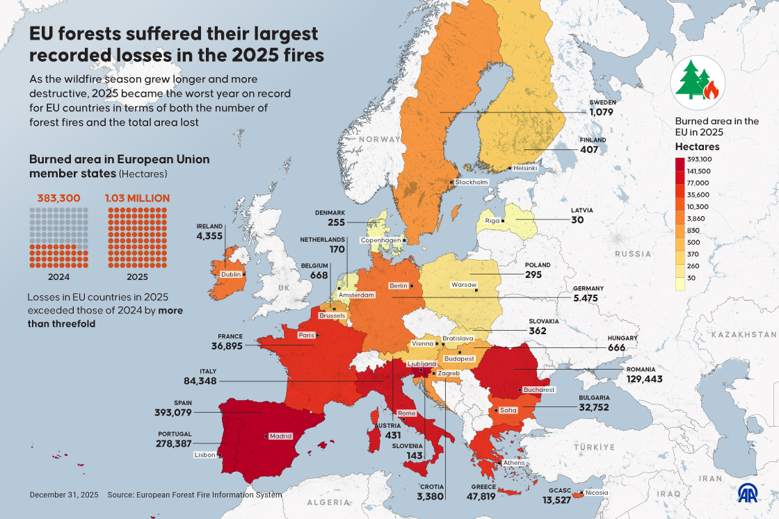 📌 EU forests suffer largest recorded losses in 2025 wildfires
