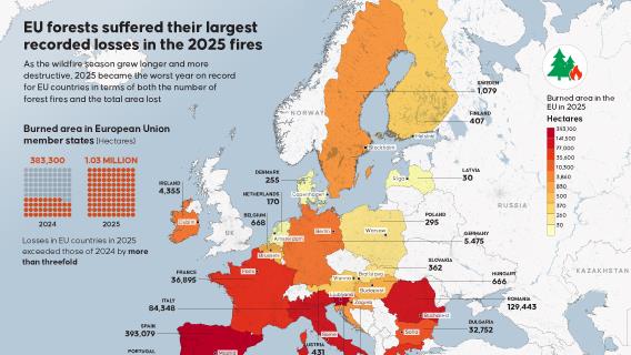 📌 EU forests suffer largest recorded losses in 2025 wildfires