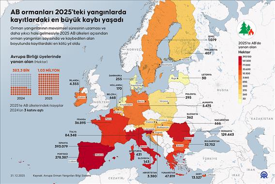 AB ormanları 2025'teki yangınlarda kayıtlardaki en büyük kaybı yaşadı