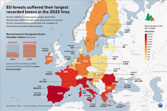 📌 EU forests suffer largest recorded losses in 2025 wildfires