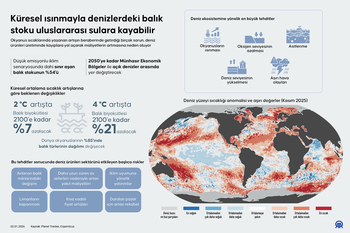 Küresel ısınmayla denizlerdeki balık stoku uluslararası sulara kayabilir