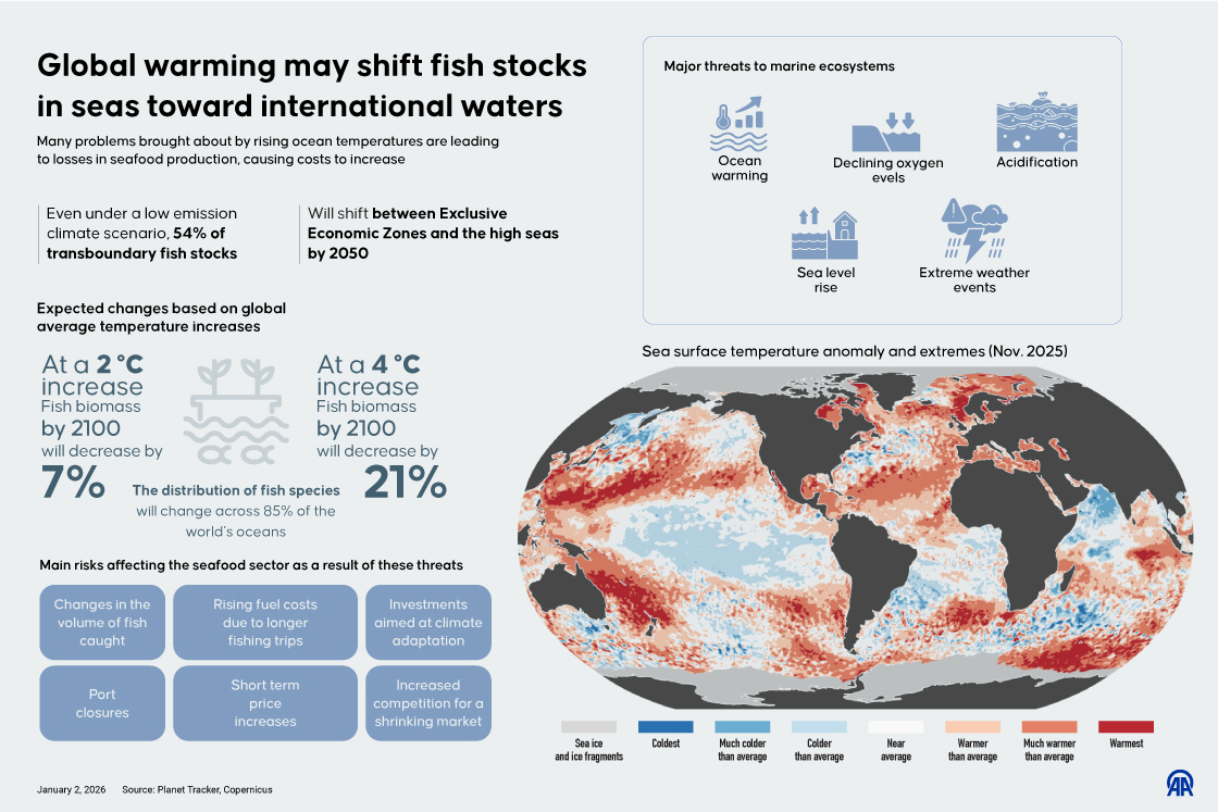 Global warming may shift fish stocks in seas toward international waters