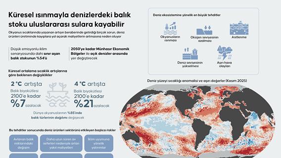 Küresel ısınmayla denizlerdeki balık stoku uluslararası sulara kayabilir