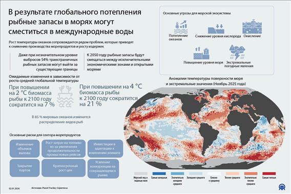 В результате глобального потепления рыбные запасы в морях могут сместиться в международные воды