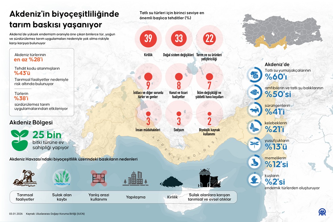 Akdeniz'in biyoçeşitliliğinde tarım baskısı yaşanıyor