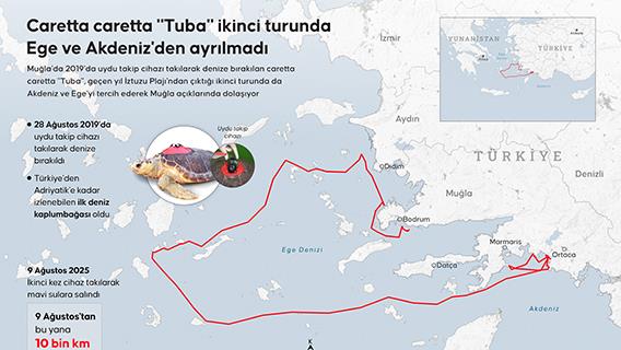 Caretta caretta "Tuba" ikinci turunda Ege ve Akdeniz'den ayrılmadı