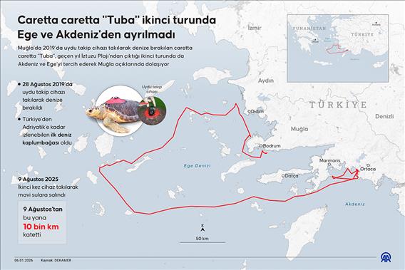 Caretta caretta "Tuba" ikinci turunda Ege ve Akdeniz'den ayrılmadı