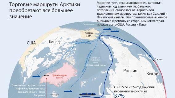 инфографика