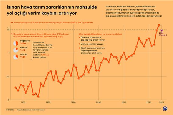 Isınan hava tarım zararlılarının mahsulde yol açtığı verim kaybını artırıyor