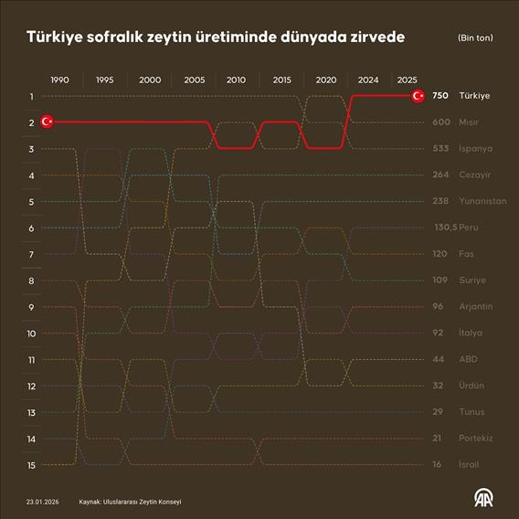 Türkiye sofralık zeytin üretiminde dünyada zirvede