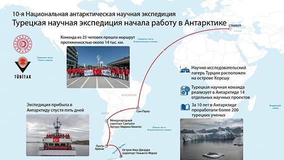 инфографика