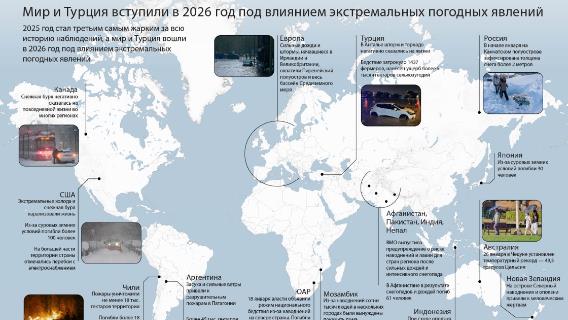 инфографика