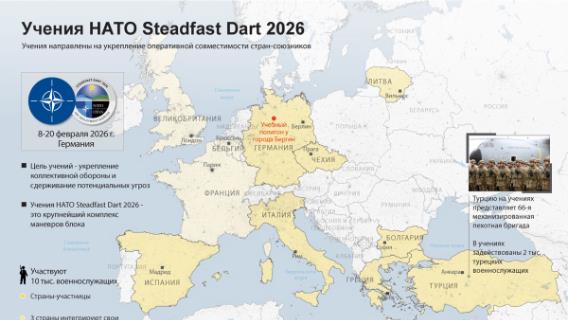 инфографика