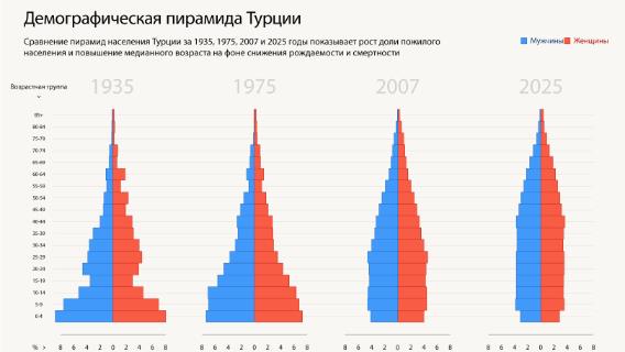 Демографическая пирамида Турции