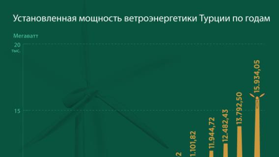 инфографика