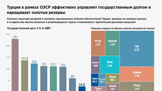 Турция в рамках ОЭСР эффективно управляет государственным долгом и наращивает золотые резервы