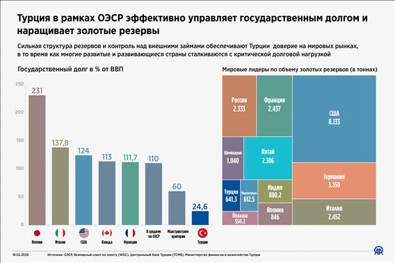Турция в рамках ОЭСР эффективно управляет государственным долгом и наращивает золотые резервы