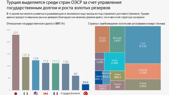 Турция выделяется среди стран ОЭСР за счет управления государственным долгом и роста золотых резервов