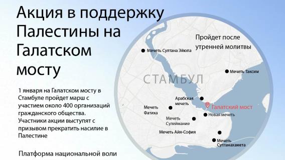 Акция в поддержку Палестины на Галатском мосту