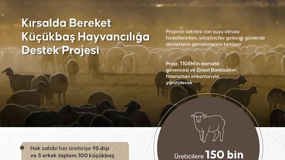 Kırsalda Bereket Küçükbaş Hayvancılığa Destek Projesi
