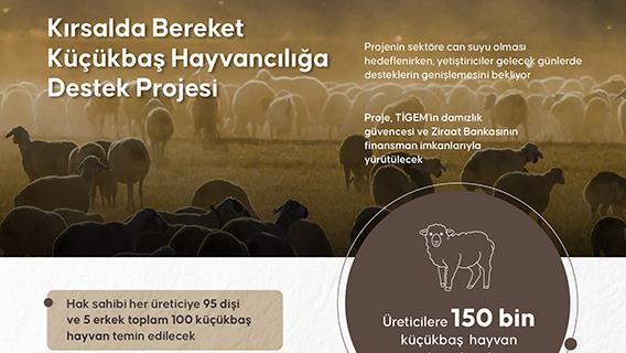 Kırsalda Bereket Küçükbaş Hayvancılığa Destek Projesi
