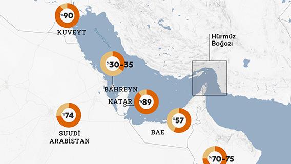 Körfez ülkelerinin ihracatında petrol, petrol ürünleri ve gazın payı