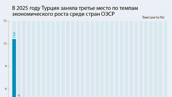 В 2025 году Турция заняла третье место по темпам экономического роста среди стран ОЭСР