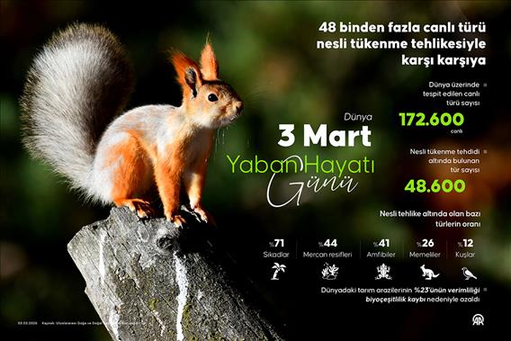 48 binden fazla canlı türü nesli tükenme tehlikesiyle karşı karşıya