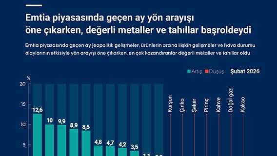 Emtia piyasasında geçen ay yön arayışı öne çıkarken değerli metaller ve tahıllar başroldeydi
