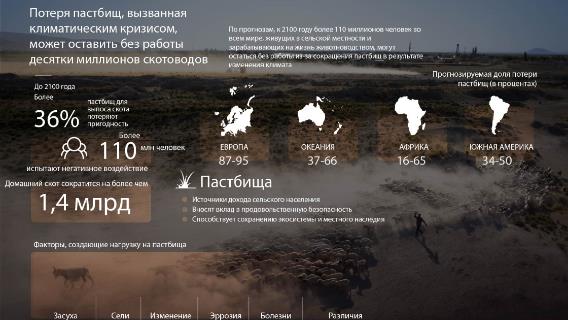 Потеря пастбищ, вызванная изменением климата, может оставить без работы десятки миллионов скотоводов