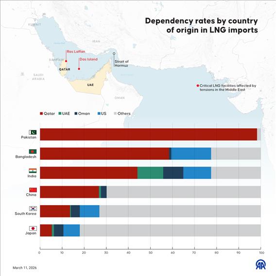 Dependency rates by country of origin in LNG imports highlight reliance on suppliers in the Gulf region