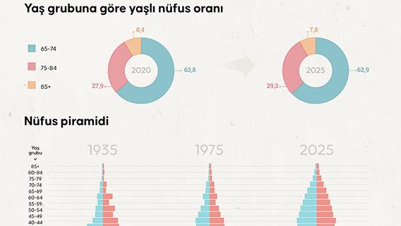 İstatistiklerle yaşlılar, 2025