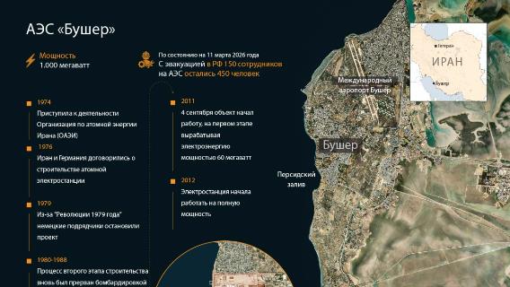 инфографика