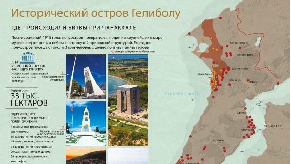 инфографика