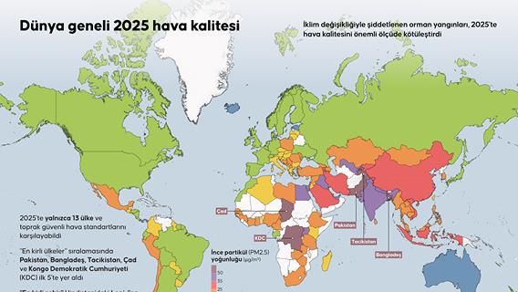Dünya geneli 2025 hava kalitesi